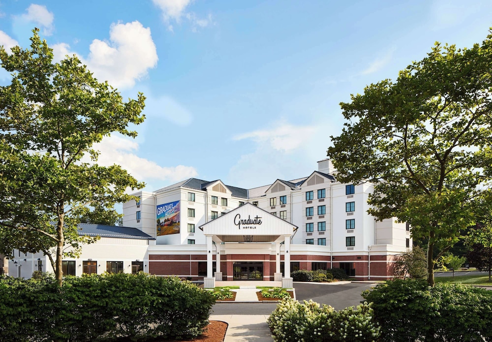 Graduate by Hilton Storrs - photo 51