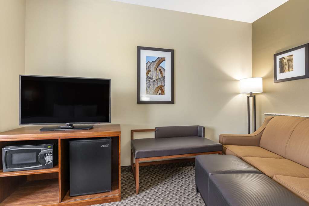 Comfort Suites Medical Center near Six Flags - photo 15