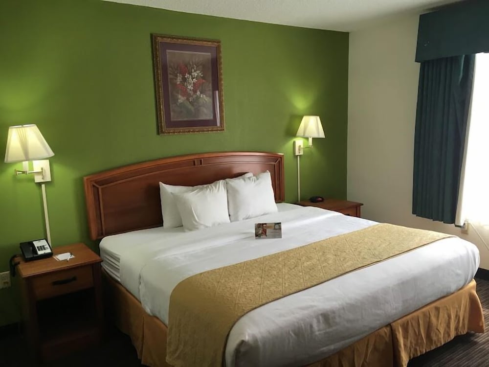Quality Inn & Suites Airport - photo 9