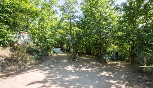Cepo Verde in Braganca, Portugal