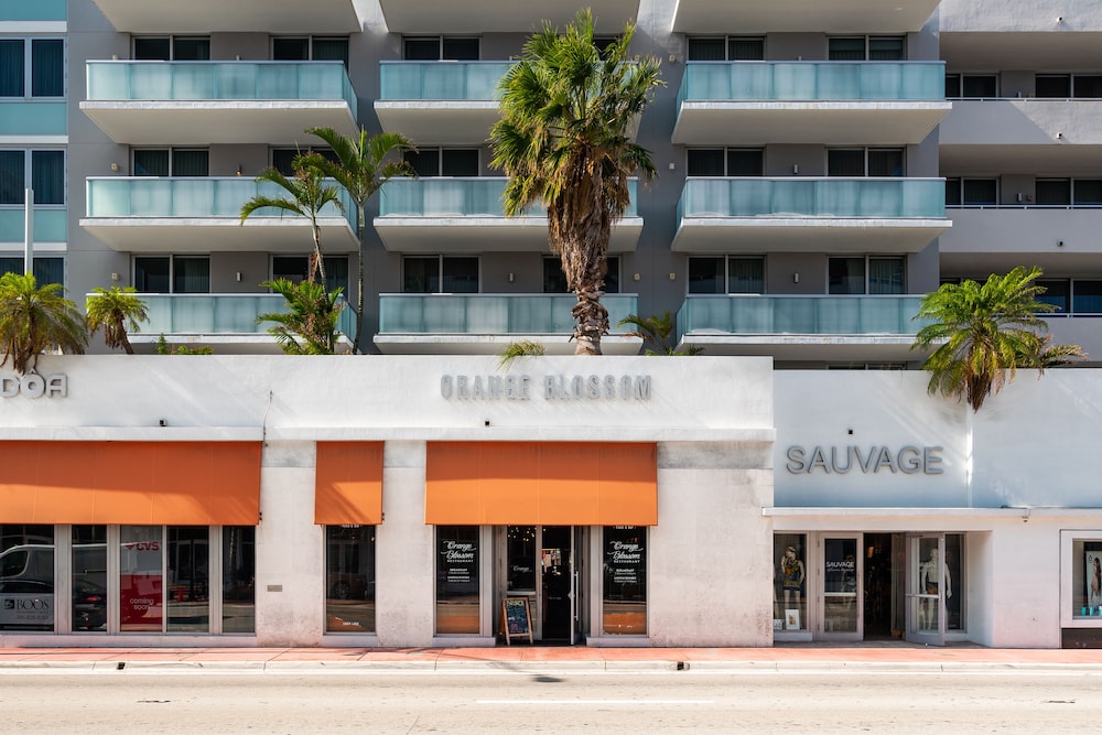 Boulan South Beach - photo 148