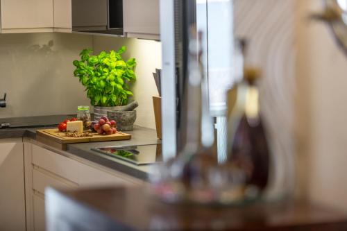 Adria House Dubrovnik by the sea