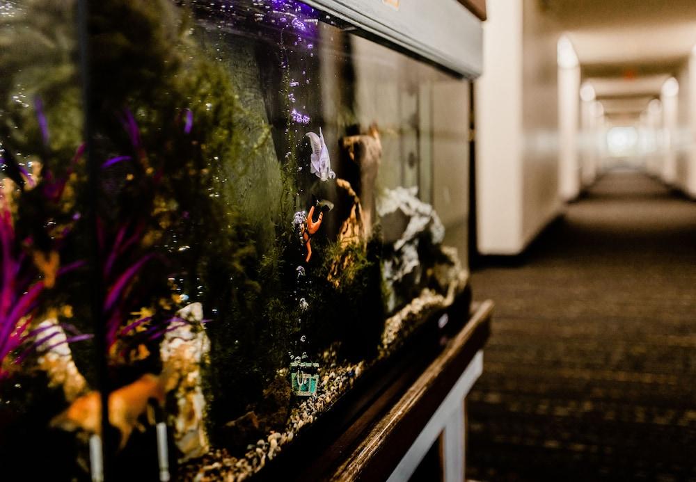 Best Rest Inn & Suites Manchester - photo 17