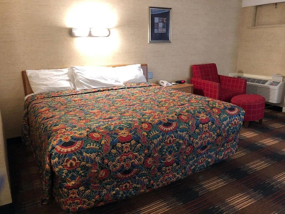 Red Carpet Inn North Syracuse - photo 16