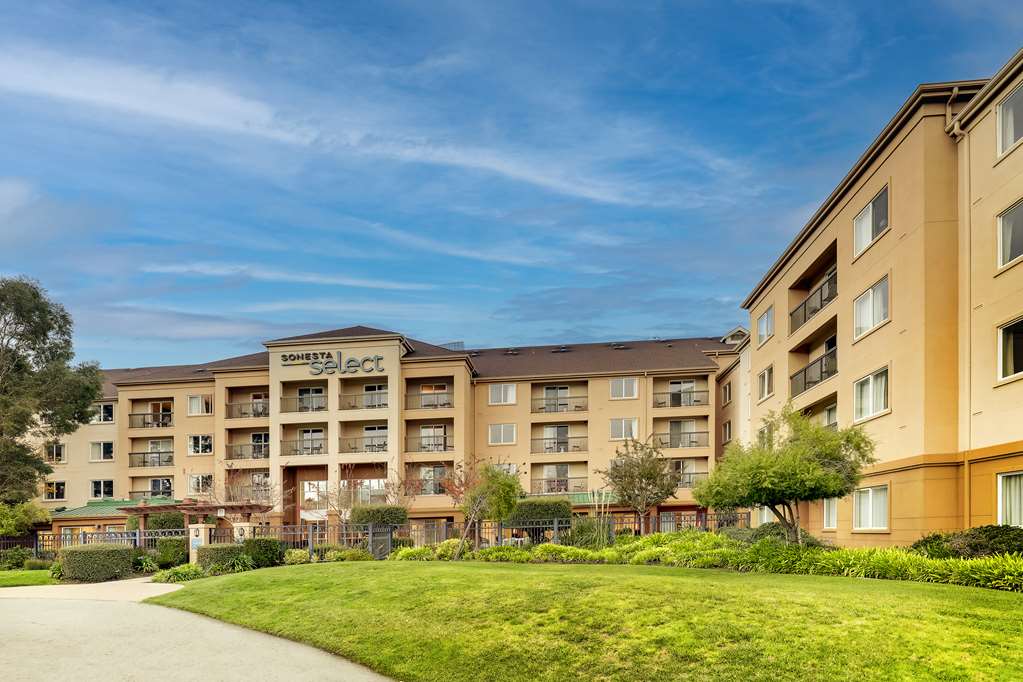 Sonesta Select San Francisco Airport Oyster Point Waterfront - photo 47
