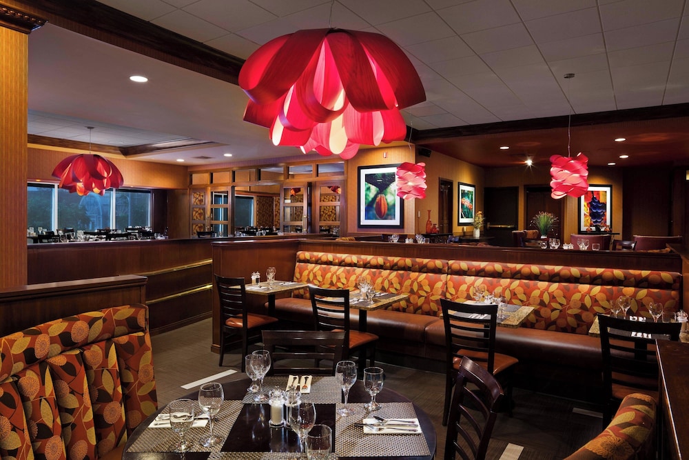 Sheraton Springfield Monarch Place Hotel - photo 22