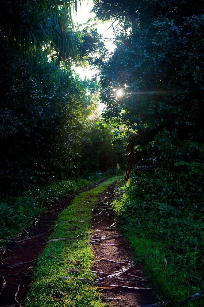 Kirpal Meditation and Ecological Center - photo 39
