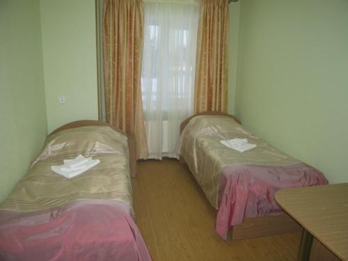 Hotel Tsentralny in Petrozavodsk, Russia