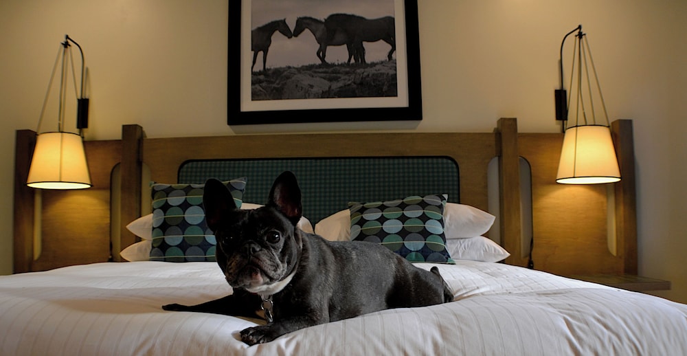 Hidden Valley Inn - photo 21