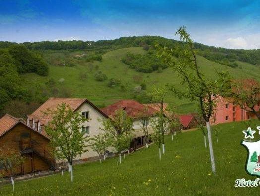 Hotel Poenita in Sighisoara, Romania