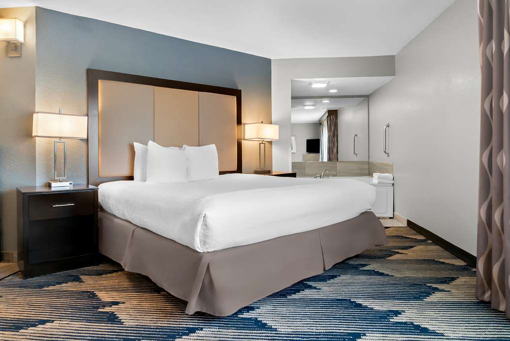 Best Western Plus Flint Airport Inn & Suites - photo 27