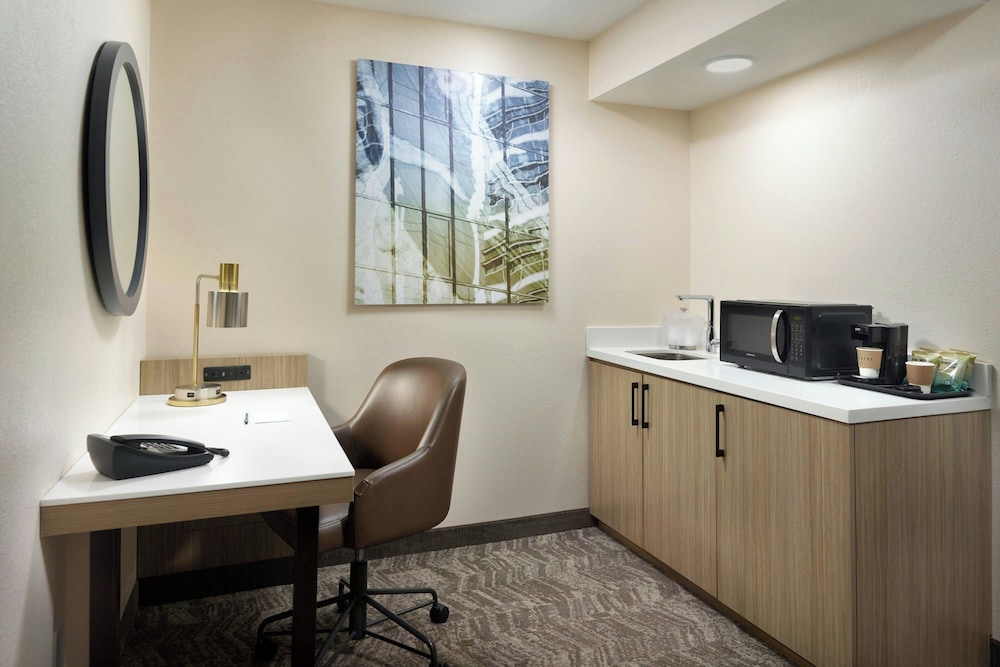 Springhill Suites By Marriott Atlanta Six Flags - photo 11