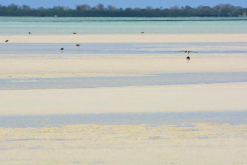 Emerald Bay Resort - last minute hotel in Zanzibar