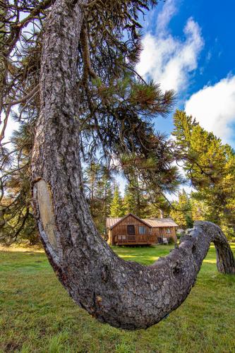 Cooper Spur Mountain Resort - photo 65