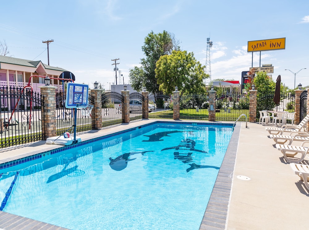 Safari Inn - photo 2