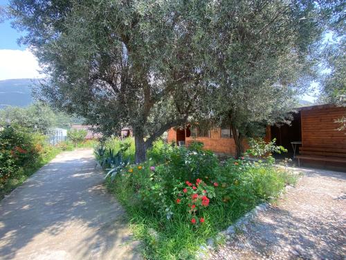 Violet Village - last minute hotel in Unknown City