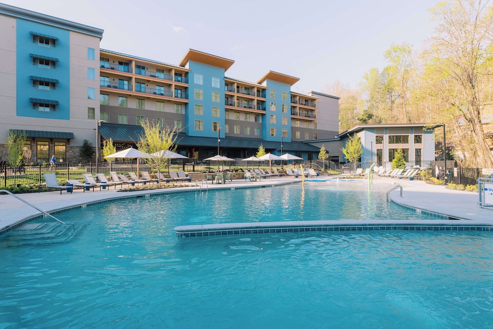 Embassy Suites by Hilton Gatlinburg Resort - photo 44