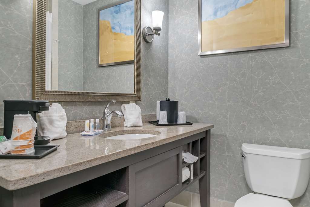 Comfort Inn Plainwell - photo 24