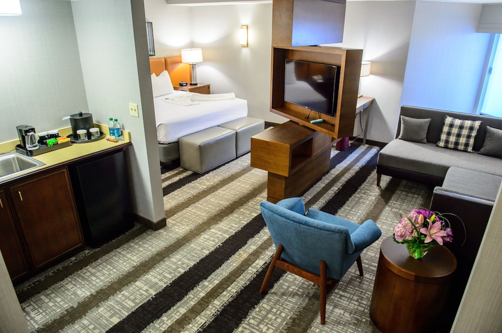 Crowne Plaza Dulles Airport by IHG - photo 9