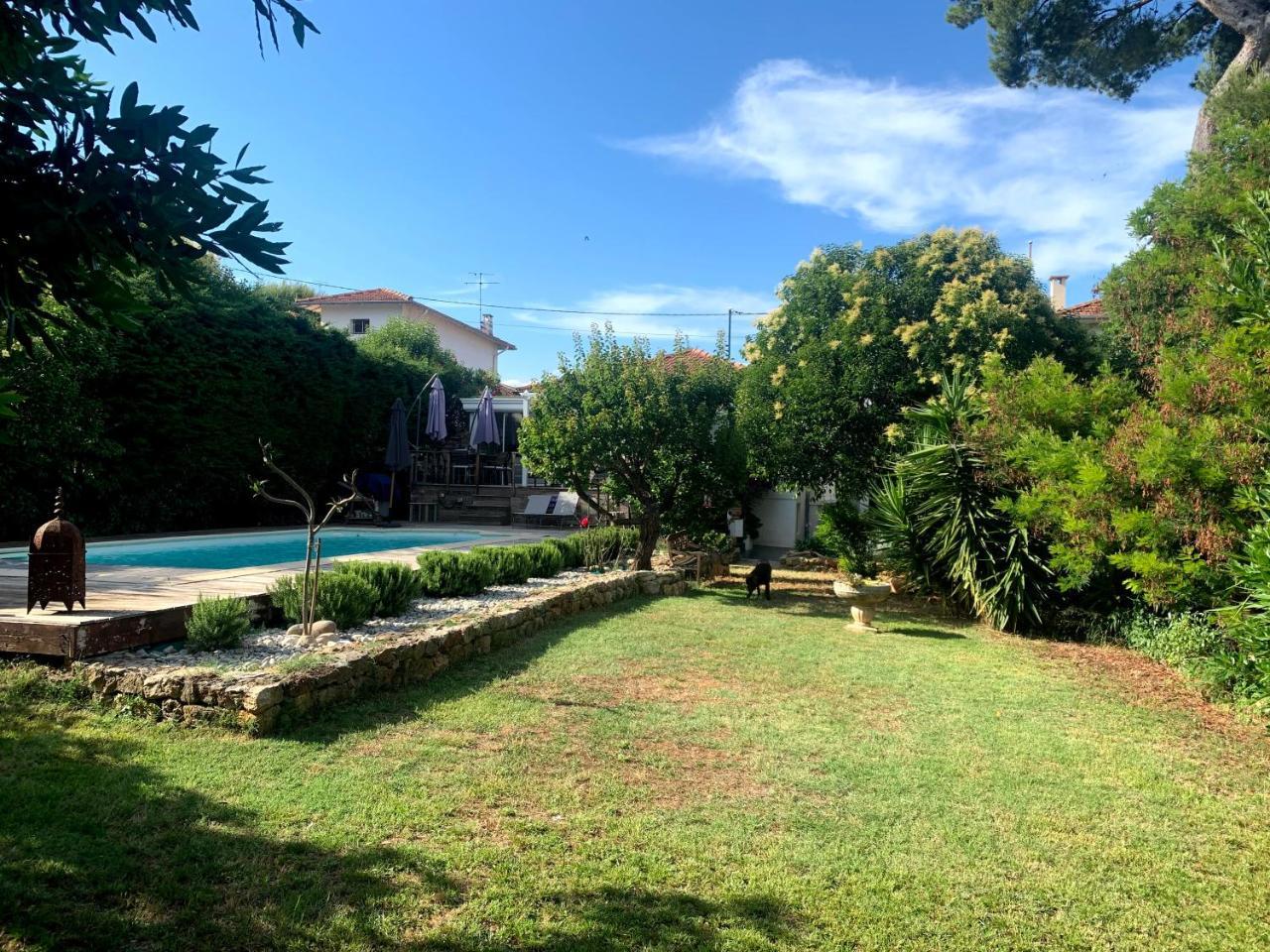 Cannes Charming Villa Private Pool Total Privacy 1 7 Kms From Beaches — Le Cannet — photo 5