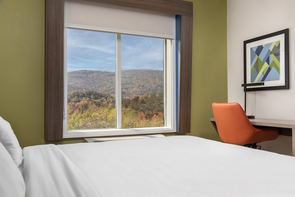 Holiday Inn Express Hotel & Suites Chattanooga Lookout Mtn by IHG - photo 17