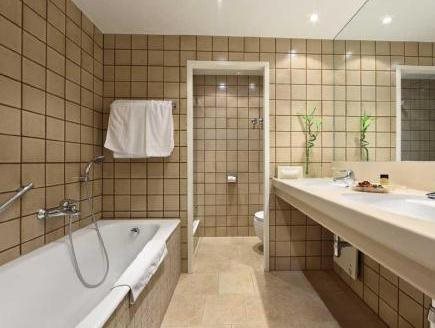 Hotel Burgenland Eisenstadt — Eisenstadt — photo 4