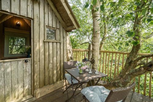 The Treehouse at Salcombe Farm — 4-Star Luxury Hotel in Salcombe, United Kingdom