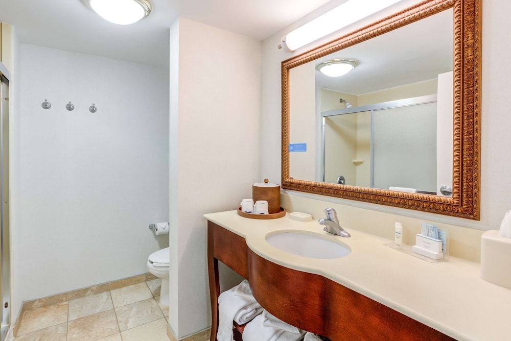 Hampton Inn & Suites Westford Chelmsford - photo 18