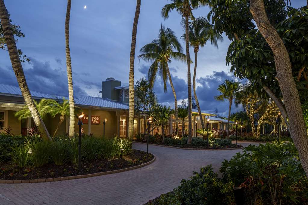 Hyatt Regency Coconut Point Resort & Spa - photo 42