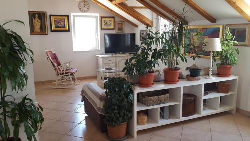 Apartment Varina