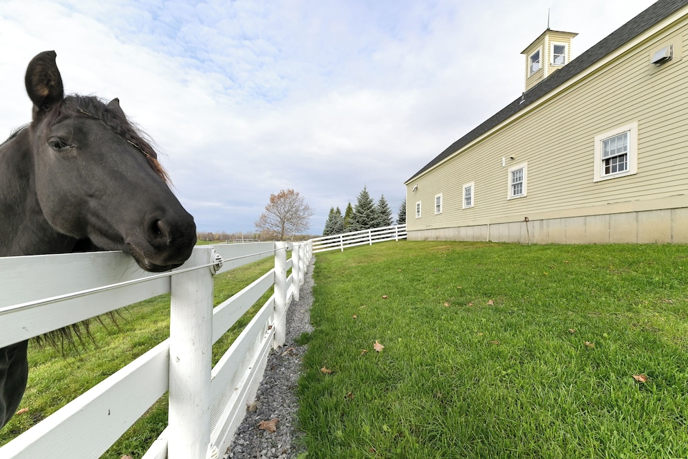 Unique Finger Lakes Converted Horse Barn W Patio — Geneva