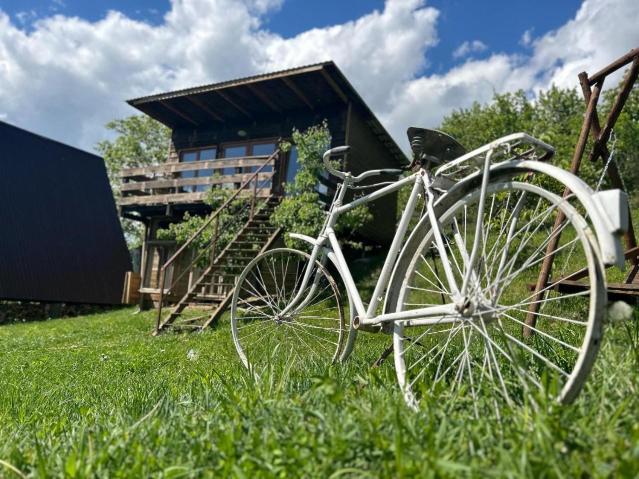 Cabana Alexa Tășnad in Tasnad, Romania