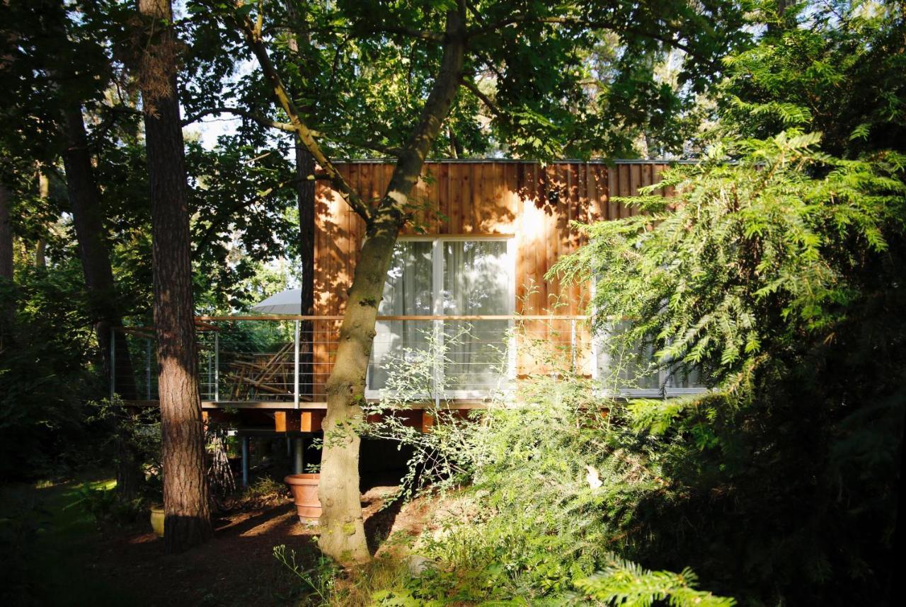 Waldhaus Am Meer — Lubmin — photo 3