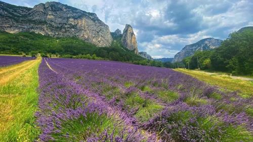 Maison privAce style provenA al — 4-Star Luxury Hotel in Grane, France