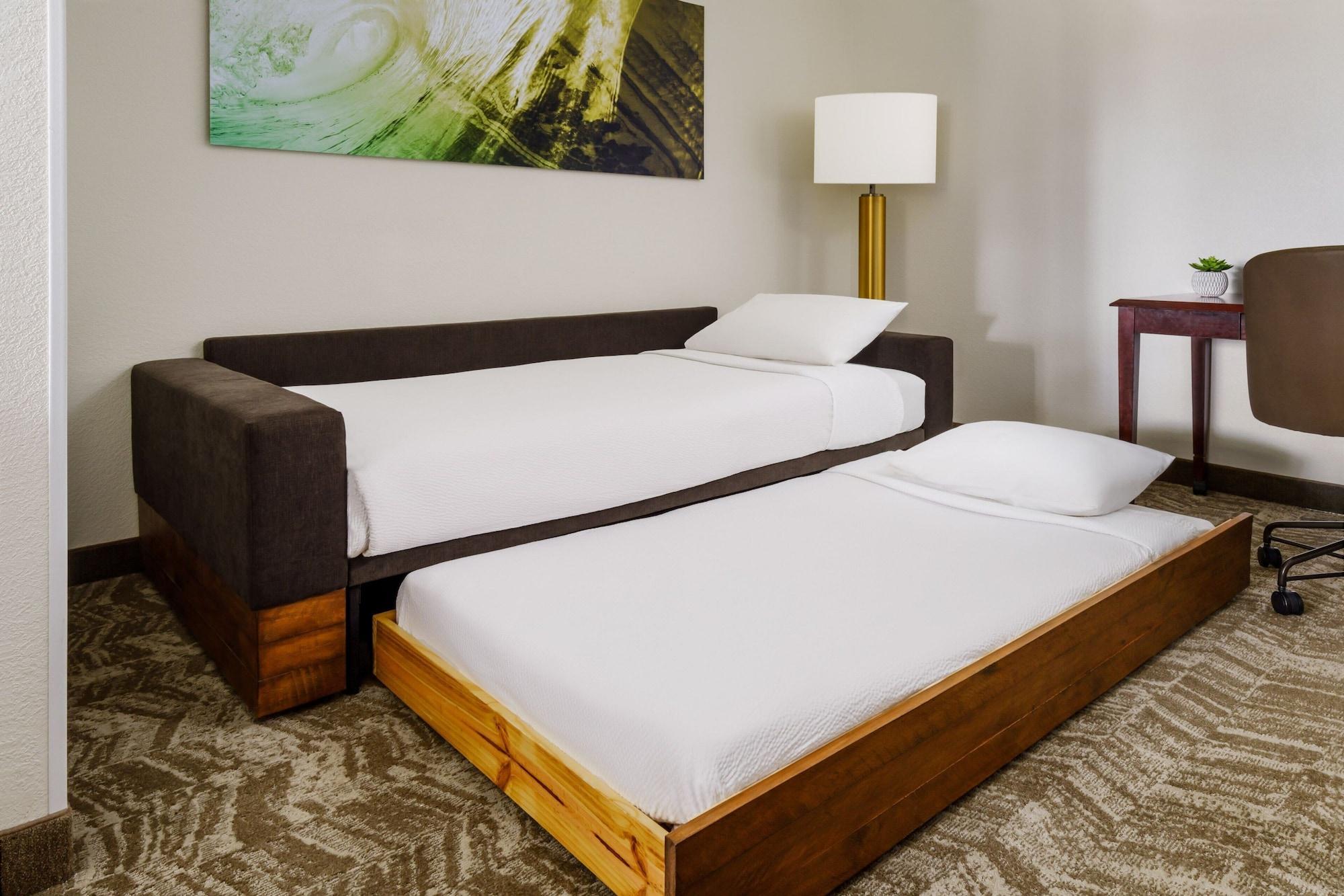 SpringHill Suites Manchester Boston Regional Airport - photo 16