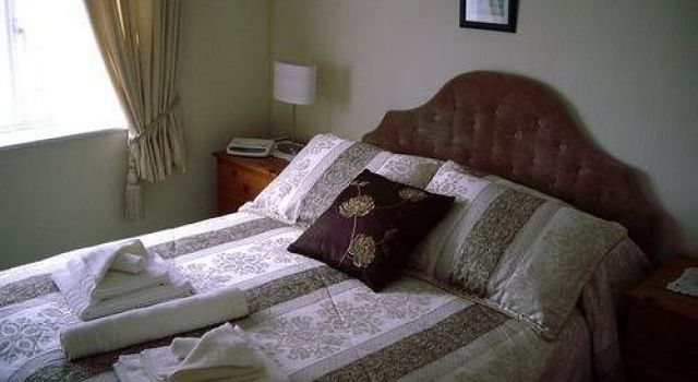 The Beech Tree in Christchurch, United Kingdom