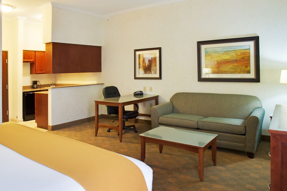 Holiday Inn Express & Suites Lufkin South by IHG - photo 7