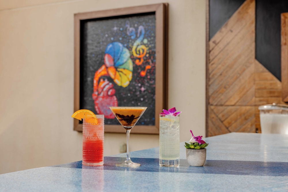 Hotel Indigo Austin Downtown University by IHG - photo 54