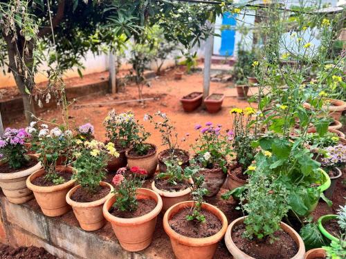 Kelly cottages — Warangal — photo 3