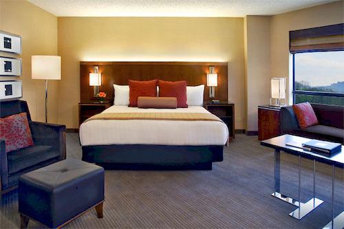 Hyatt Regency Crystal City - photo 16