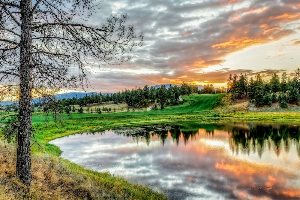 Wilderness Club - photo 142