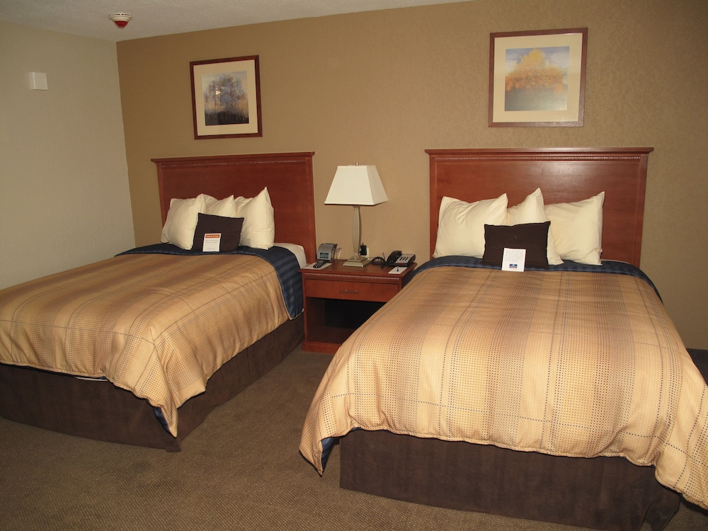 Candlewood Suites Elgin an IHG Hotel - photo 4