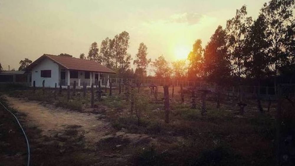 Pings Farmstay in Savannakhet, Laos