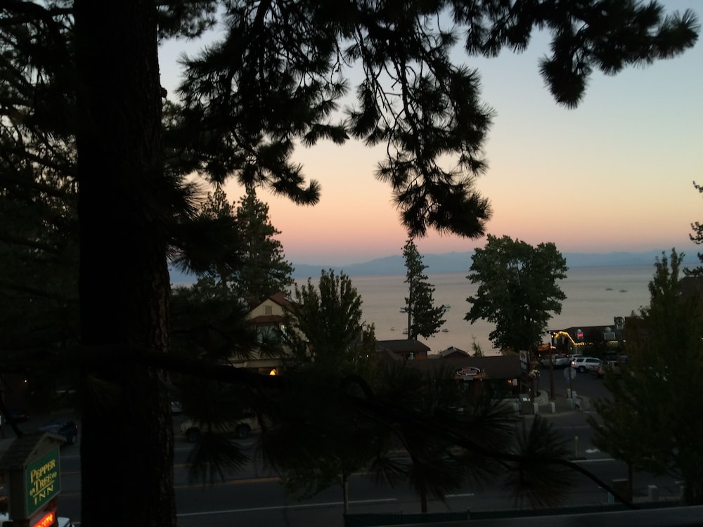 Pepper Tree Inn - photo 31