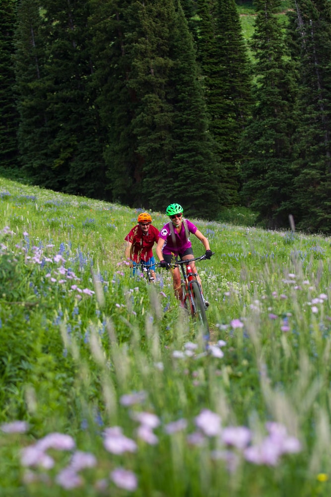 Teewinot Lodge by Grand Targhee Resort - photo 18
