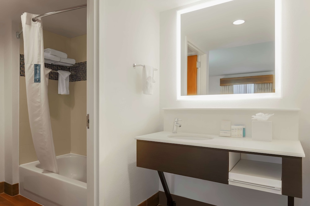 Hampton Inn & Suites Austin Downtown - photo 40