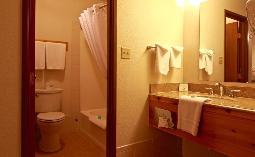 Yellowstone Village Inn and Suites - photo 7