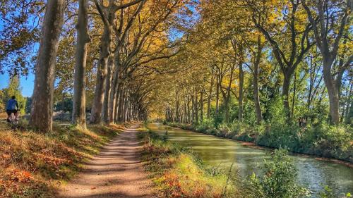 Le Tapissier Centre Luxe Climatisation - last minute hotel in Toulouse