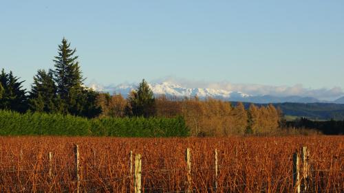 Milcrest Estate — Nelson — photo 3