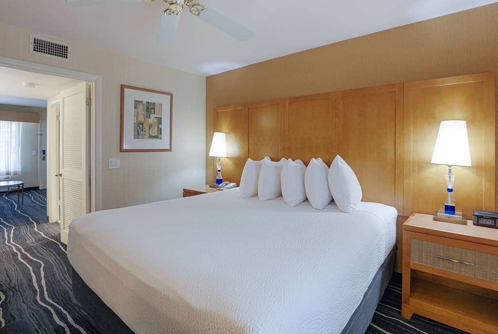 Ramada by Wyndham Costa Mesa Newport Beach - photo 19